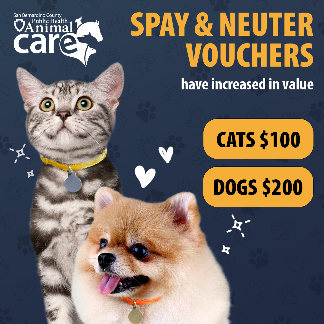 Spay and neuter vouchers have increased in value 