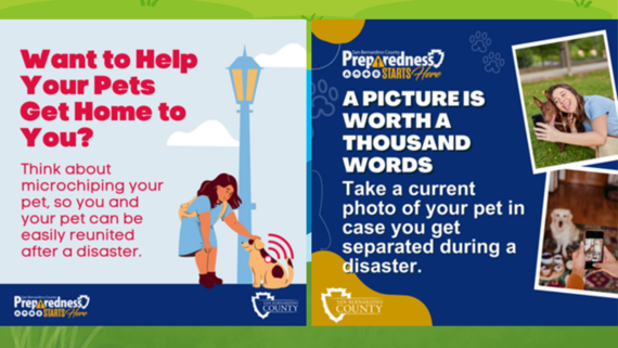 A graphic illustrating pet microchipping and taking a photo of your pet.