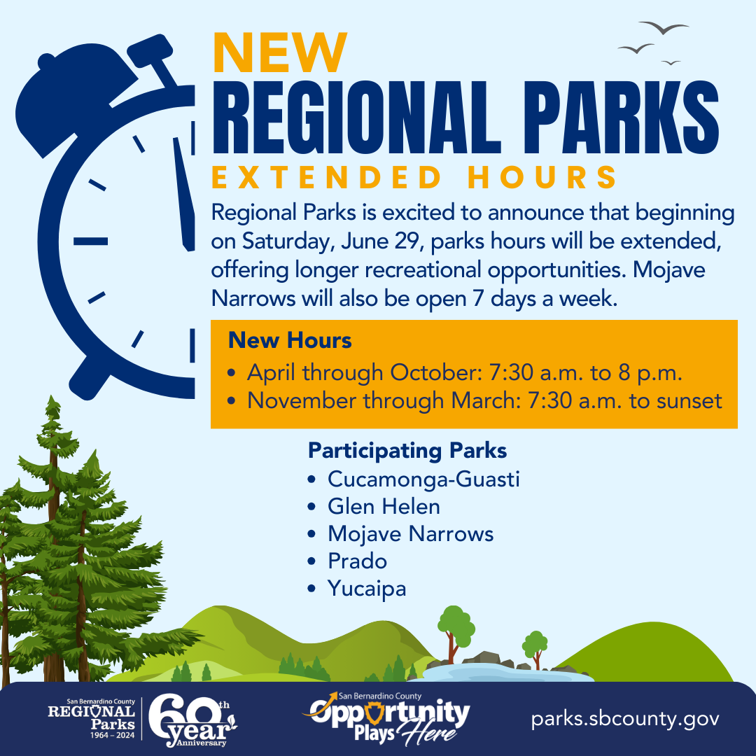 A graphic of a illustration of a blue sky with white clouds and trees and rolling hills with a pond and bird in the sky at top.