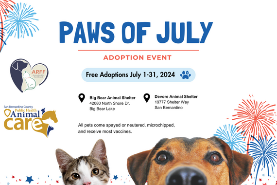adoption event