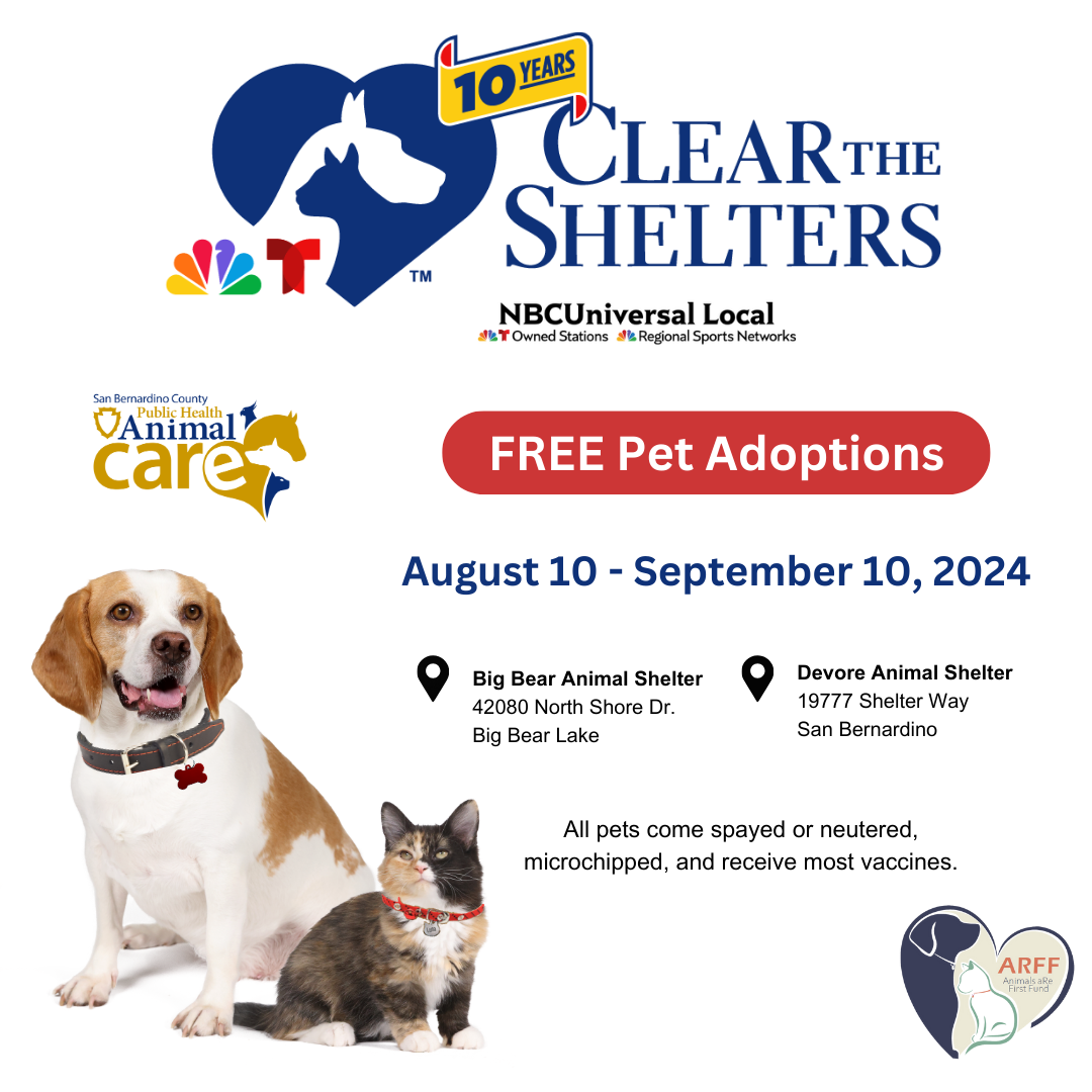 Clear the Shelter