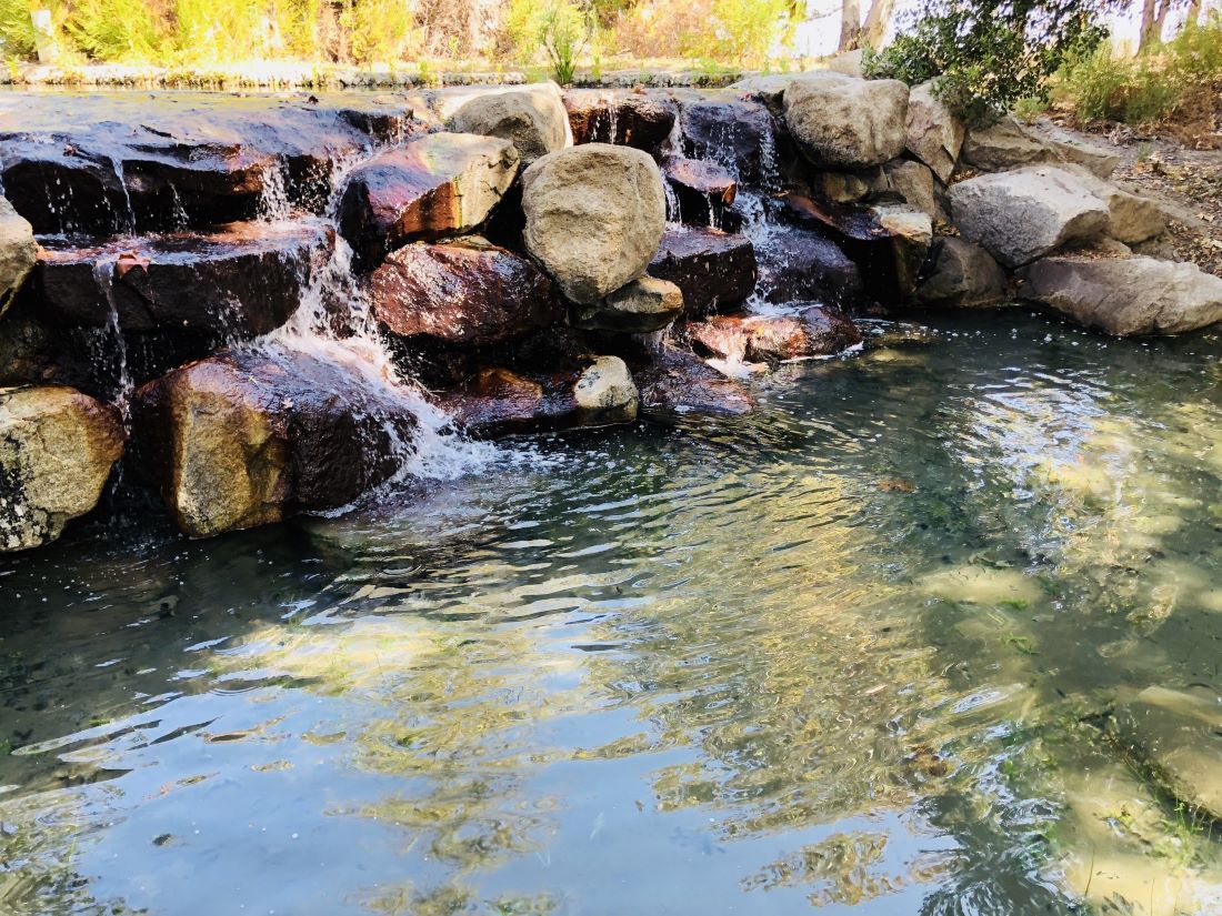 Chino Creek Wetlands and Educational Park