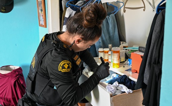 Ensuring a safe Halloween: 