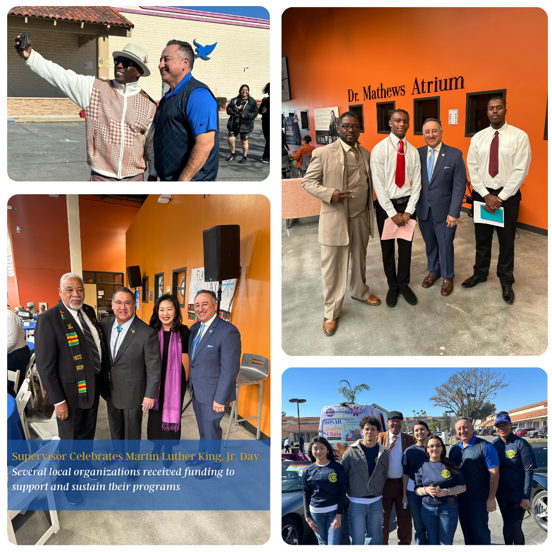 MLK Day Celebrations Collage