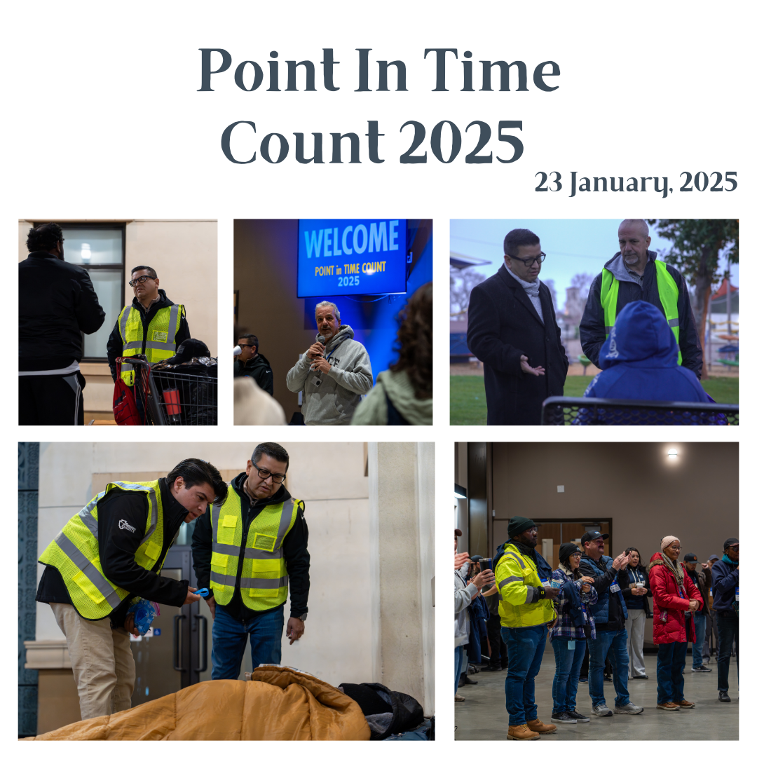 Point in time count