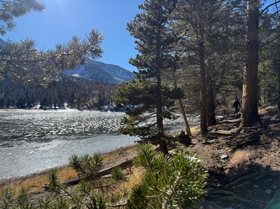 A scenic view of Dry Lake surrounded by pine trees in the winter under a bright blue sky.