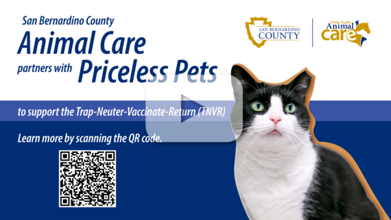 A graphic for the TNVR program. It includes a cat, a QR code, county logos at the top and a play button overlay, indicating a video.