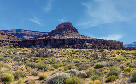 Desert landscape featuring a flat-topped mesa surrounded by rugged terrain and sparse vegetation under a blue sky.