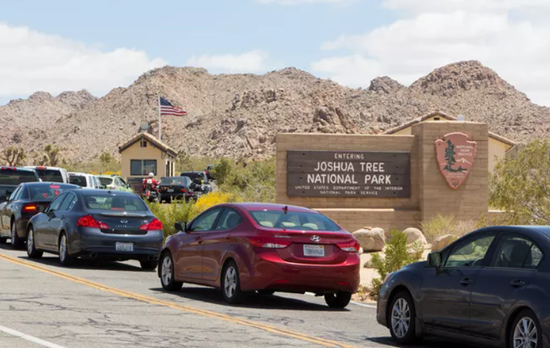 Cars line up to get in through the west entrance at Joshua Tree National Park