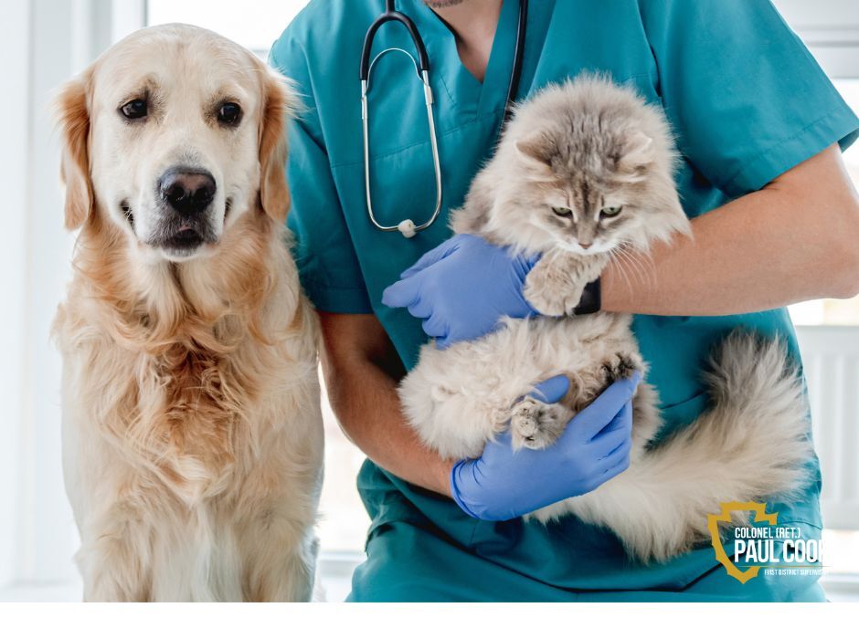 dog and cat with vet