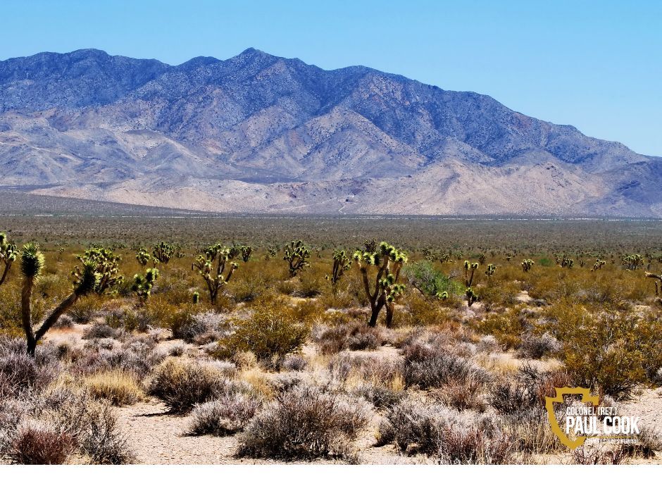 mojave national preserve