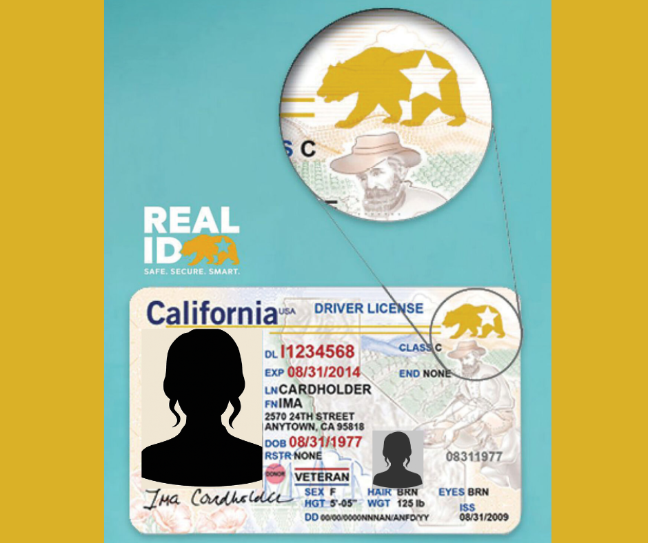 A fictional, mock up of a California driver's license showing the REAL ID location and a close-up of the logo.
