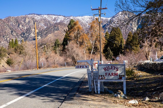 Riley's Farm sign next to a sign that says open, with mountains covered in a light dusting of snow and trees in the background. 