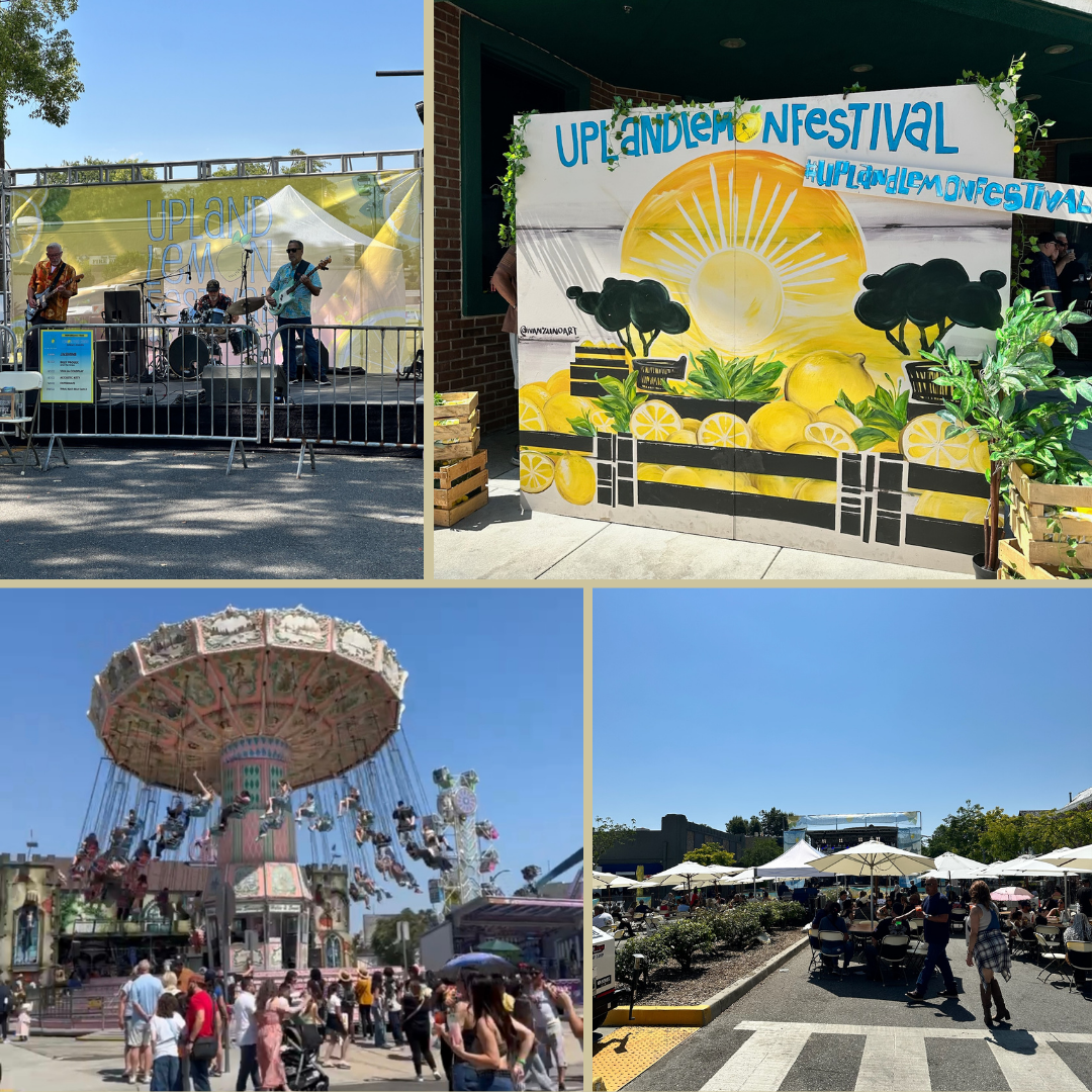 lemon festival 