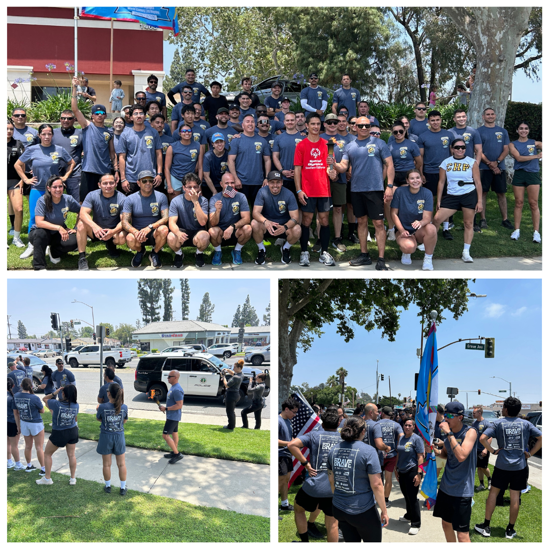 torch run