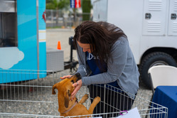 Animal Care