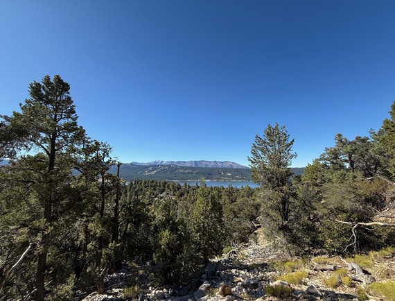 View from Bertha Peak surrounded by a forest and mountains.