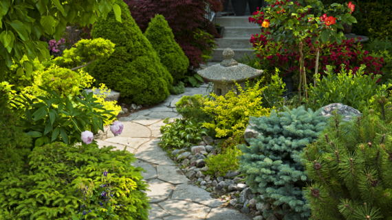 Lush garden with a stone path, colorful flowers, evergreens, and a decorative stone lantern.