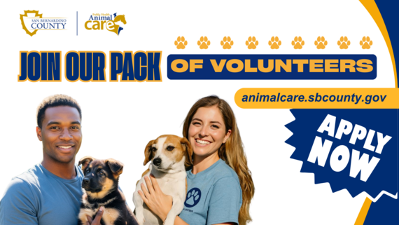 A banner showing volunteers holding dogs with text encouraging people to join the San Bernardino County Animal Care's volunteer team.