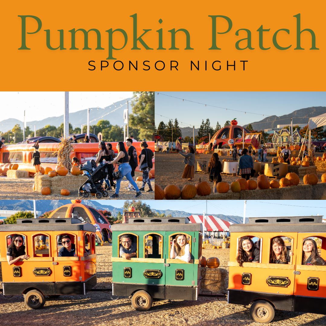 Pumpkin patch