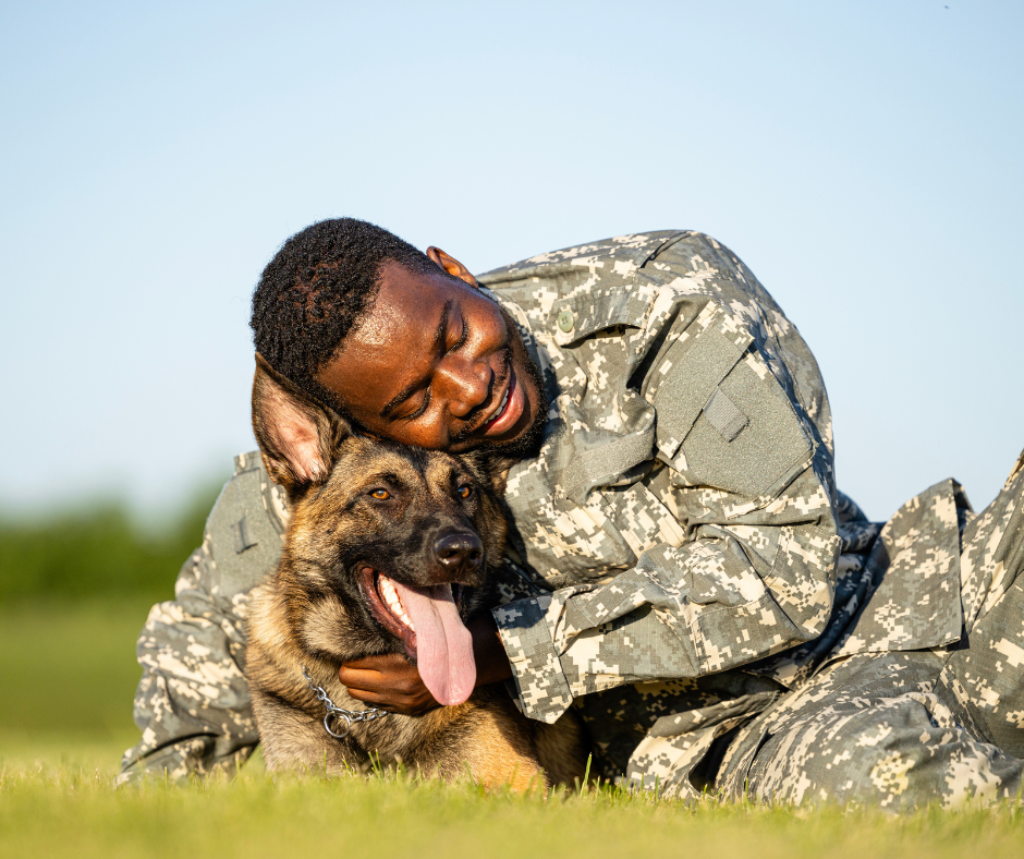 A uniformed soldier plays and cuddles with a German shepherd in a grassy field. 