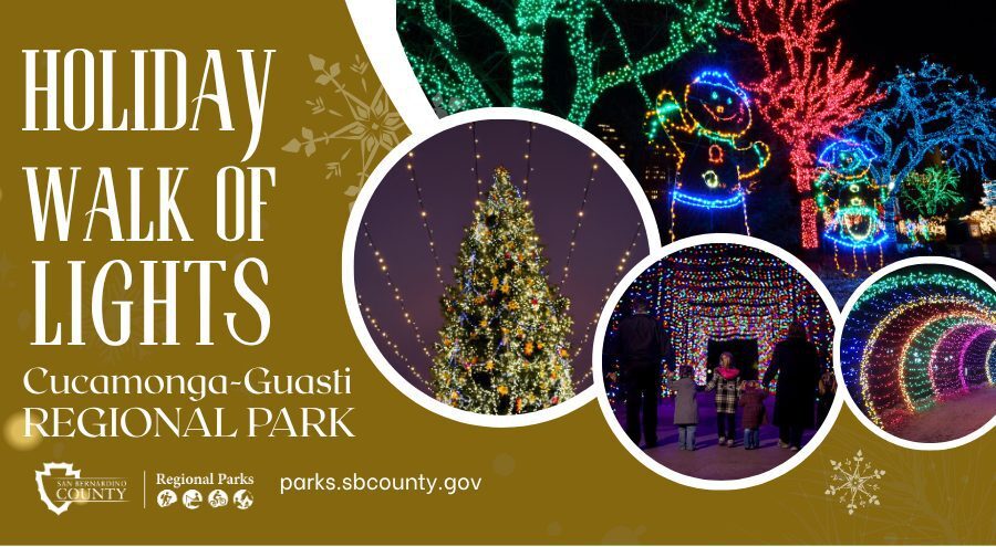 Holiday light displays, including trees, tunnels, and colorful figures at the Holiday Walk of Lights at Cucamonga-Guasti Regional Park