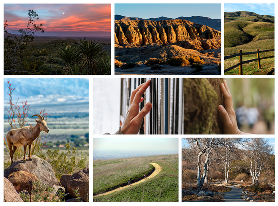 Collage of seven landscape and detail photographs: a sunset over a desert landscapes.