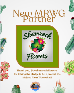 New MRWG Partner
