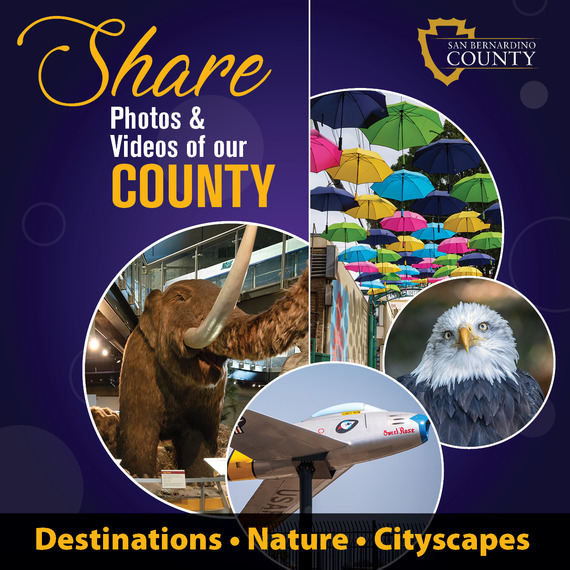 Collage of umbrellas, woolly mammoth display, an eagle and aircraft. Share Photos & Videos of our County - Destinations • Nature • Cityscapes.