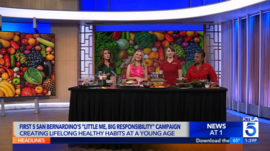 KTLA Little Me Big Responsibility