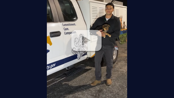Staff holding a puppy beside an Animal Care truck, with a play button overlay indicating a video.