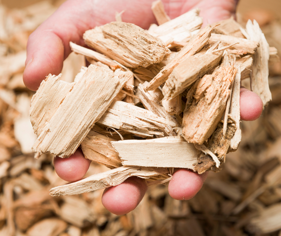 A hand holds wood chips in front of a larger pile of wood chips.