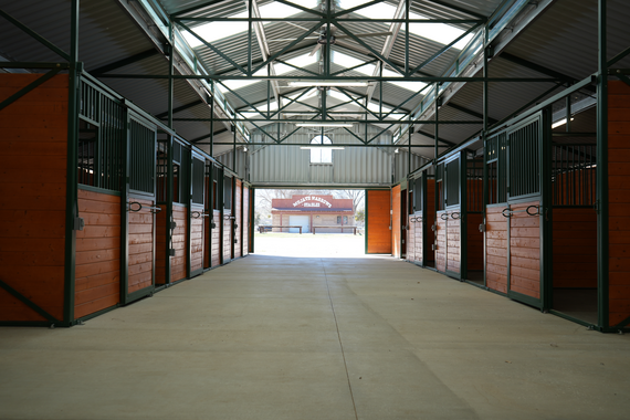 The inside view of the new barn and stalls with a glimpse of an older stable building visible through the open barn doors.
