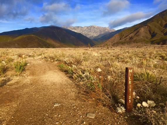 A dirt trail winds through a grassy field towards the mountains.