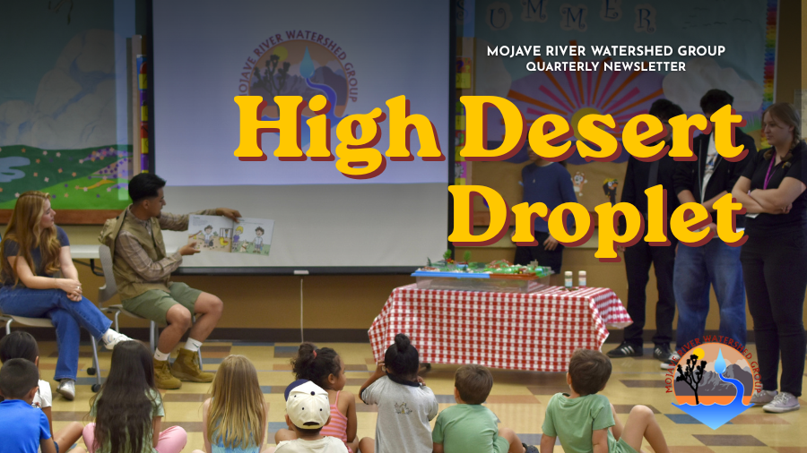 droplet masthead summer 2026