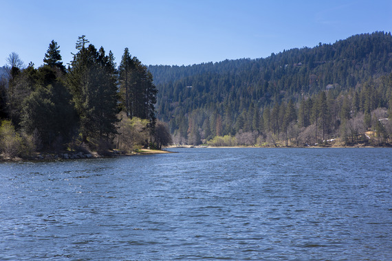 A lake surrounded by a forest under a clear blue sky.