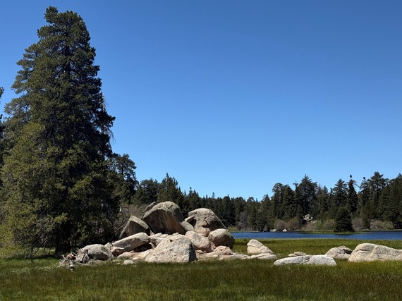 A scenic landscape featuring a clear blue sky over a peaceful lake surrounded by lush green trees.