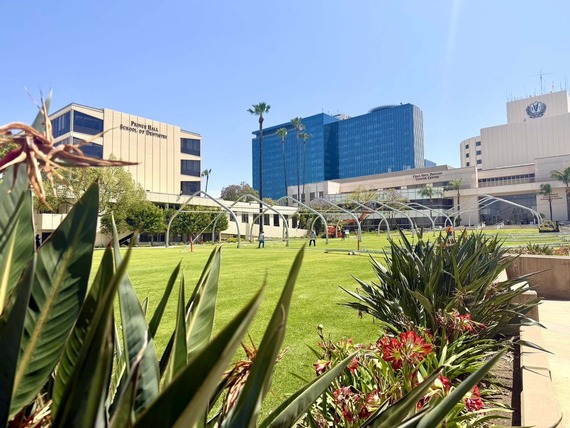 Several buildings on the Loma Linda University campus including the school of dentistry the cancer center and the children's hospital