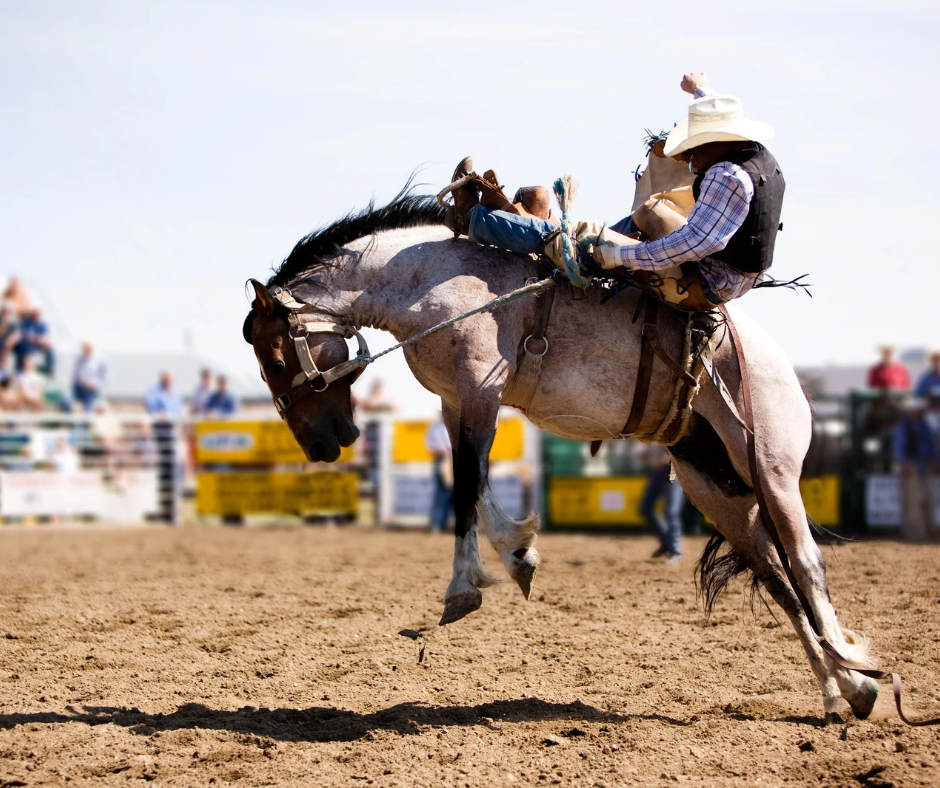 A cowboy rides a bucking bronco during a rodeo, with spectators watching from behind the arena fence.