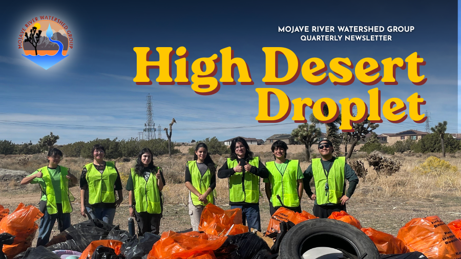 Droplet Masthead Fall '26