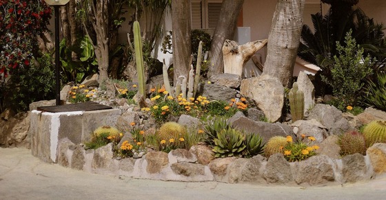 desert landscape