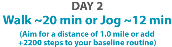 day 2 fitness challenge