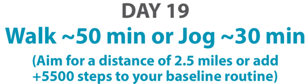 Day 19 Fitness Challenge
