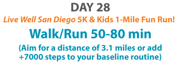 Day 28 Fitness Challenge 