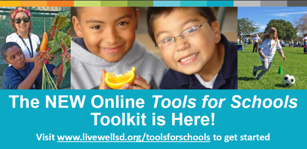Tools for Schools