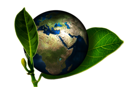 Waste Reduction_Green Earth