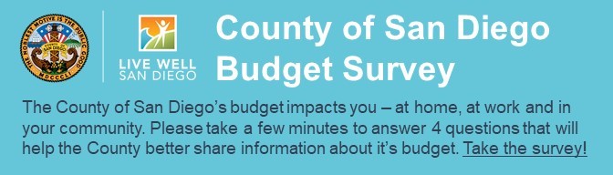 CoSD Budget Survey