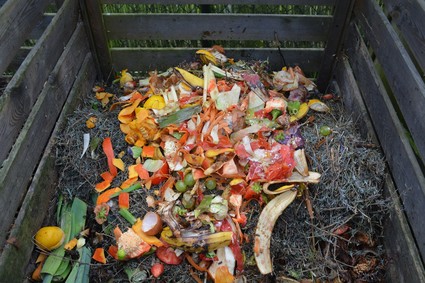 waste reduction-green waste in compost bin