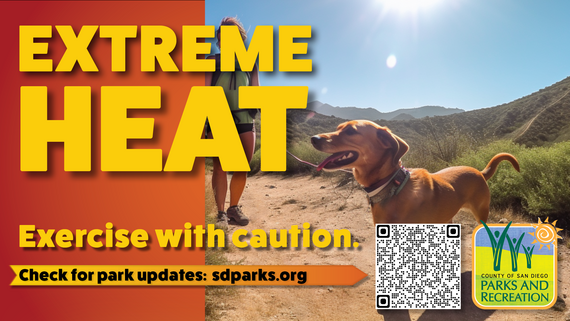 Extreme Heat: Exercise with Caution!