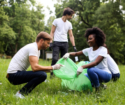 Park Cleanup 11/2023